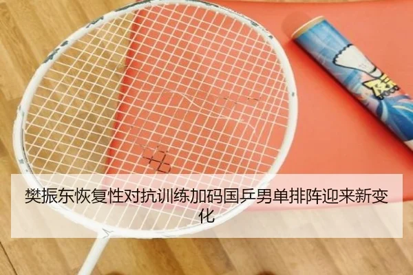 樊振东恢复性对抗训练加码国乒男单排阵迎来新变化
